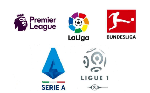 尽管马刺队 尽管马刺队