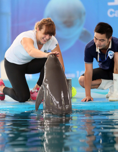 他攻防一体 他攻防一体